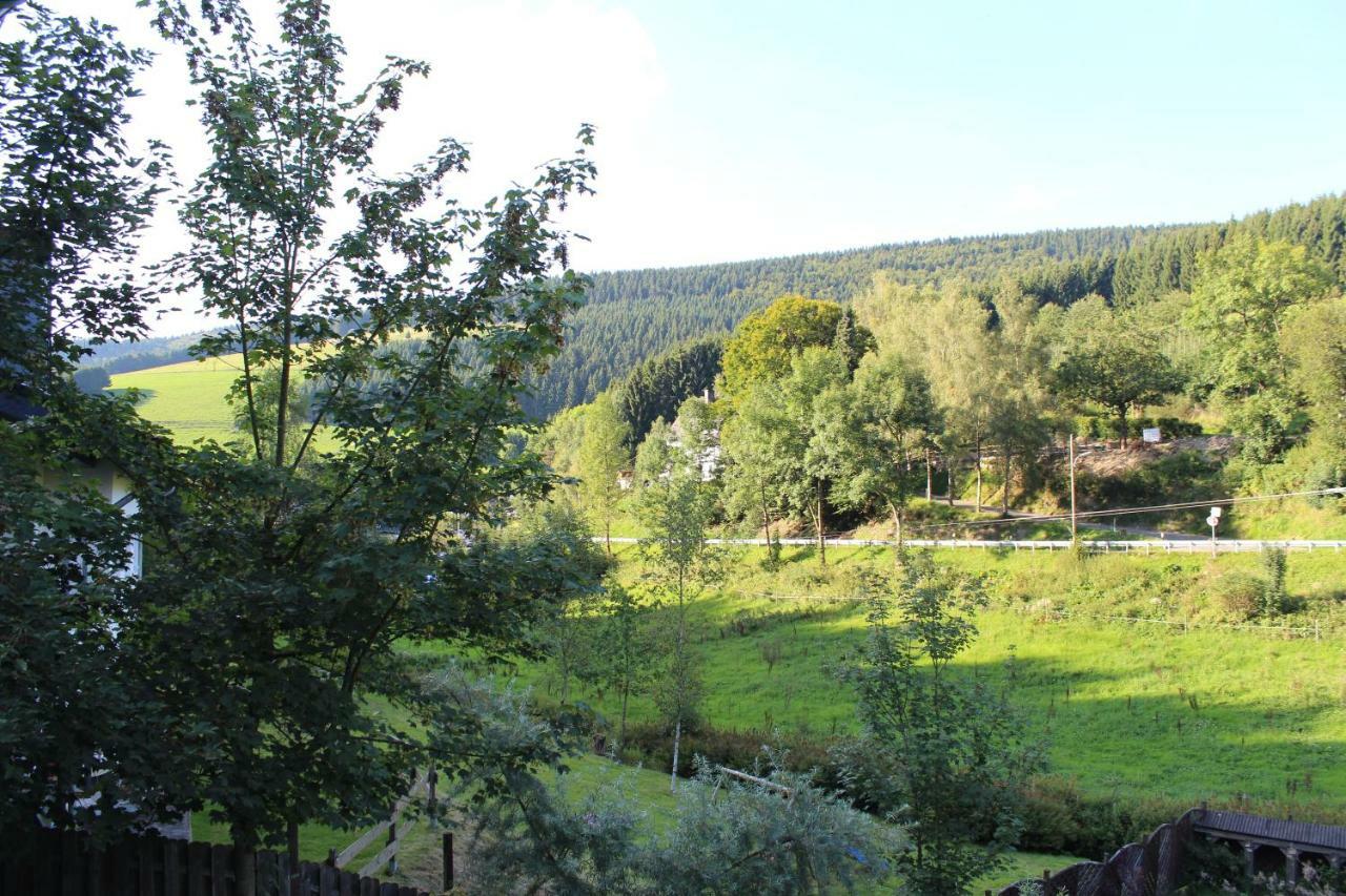 Haus Talblick Villa Schmallenberg Bagian luar foto