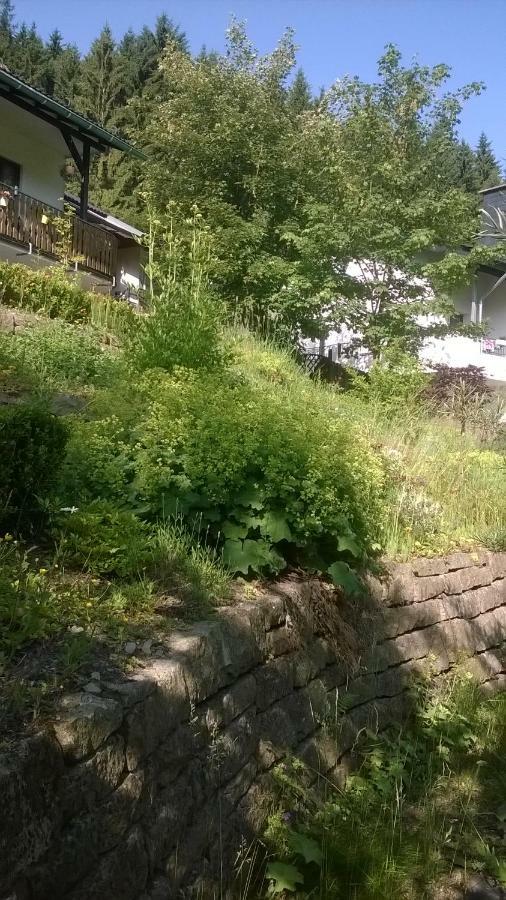 Haus Talblick Villa Schmallenberg Bagian luar foto