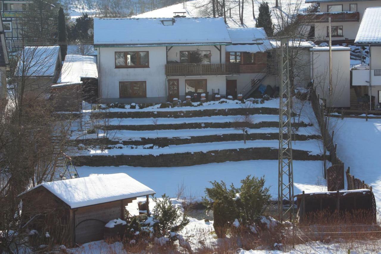 Haus Talblick Villa Schmallenberg Bagian luar foto